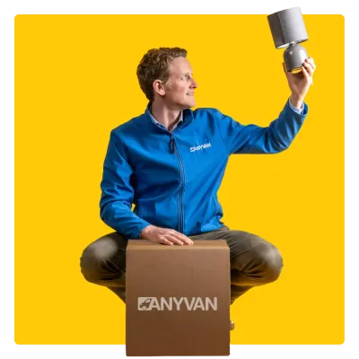 Image of removal expert moving boxes