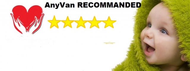 No thumbnail